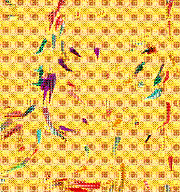 A nice image for Exstasis Process
